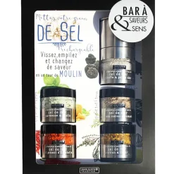 Fabrique de Styles Condiments Et Épices*Bar à sels avec moulin intégré