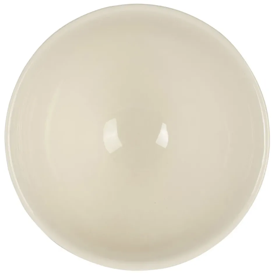 Fabrique de Styles Bols Et Coupelles*Bol citron en faïence jaune et vert 75cl - Collection