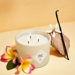 Fabrique de Styles Bougies Parfumées*Bougie parfumée Monoï des îles 70h