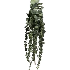 Fabrique de Styles Fleurs Et Plantes Artificielles*Branchage artificiel h70cm - Eucalyptus