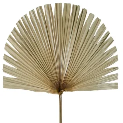 Fabrique de Styles Fleurs Séchées*Branchage palmier 50xh96cm feuille de palmier