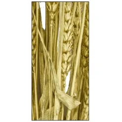 Fabrique de Styles Fleurs Séchées*Branche triticum h70cm
