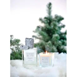 Fabrique de Styles Bouquets Parfumés*Bâton à parfum bergamote, rose, héliotrope 400 ml - Givre blanc