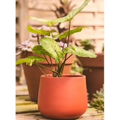 Fabrique de Styles Cache-pots Et Supports*Cache pot en céramique terracotta d13.5cm