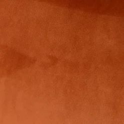 Fabrique de Styles Chaises*Chaise de salle à manger en velours - Ben