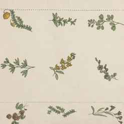 Fabrique de Styles Chemins De Table*Chemin de table en coton naturel et vert 160x50cm - Juline