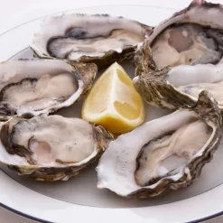 Fabrique de Styles Ustensibles De Cuisine*Coffret huitre 1 couteau et 4 fourchettes - Noel