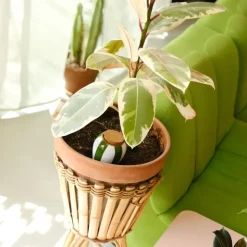 Fabrique de Styles Accessoires*Diffuseur d'eau en argile raye et blanc 25cl - Olla