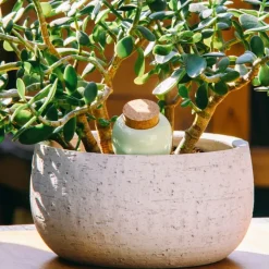 Fabrique de Styles Accessoires*Diffuseur d'eau en argile 25cl - Olla