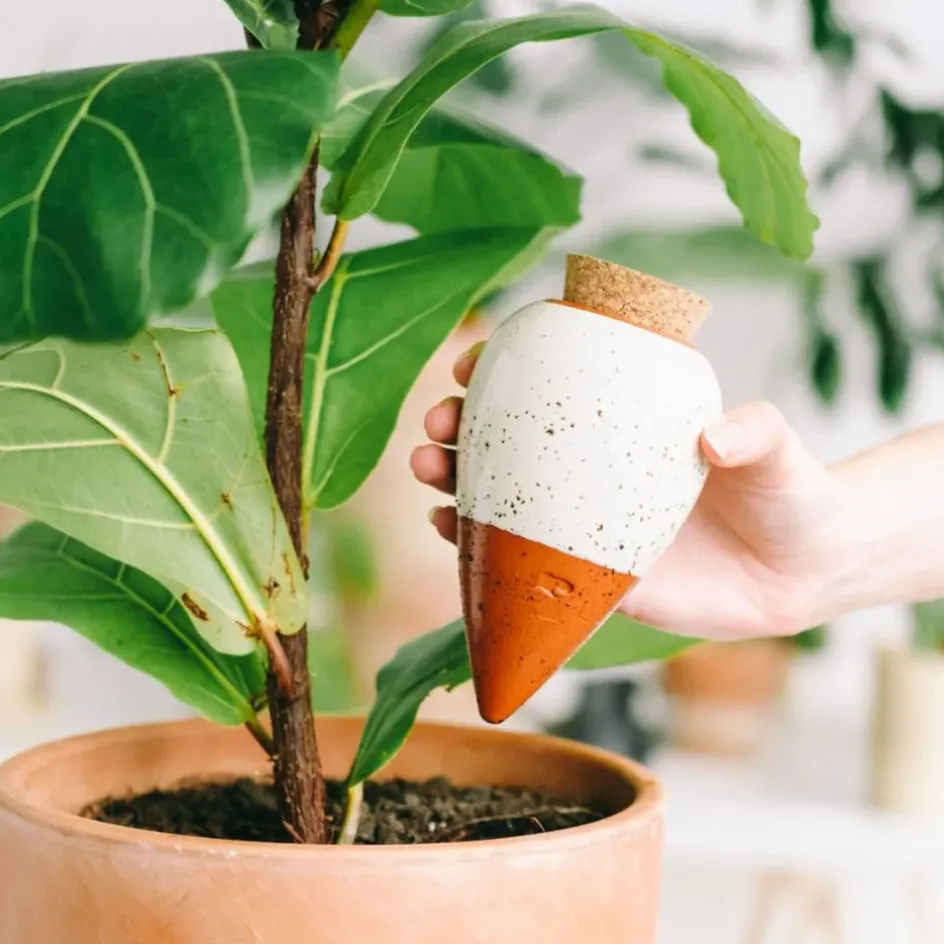 Fabrique de Styles Accessoires*Diffuseur d'eau en argile graine 25cl - Olla