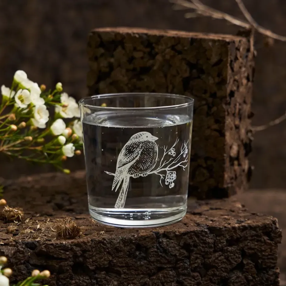 Fabrique de Styles Verres À Eau Et Gobelets*Gobelet en verre oiseau 36cl - Bodega