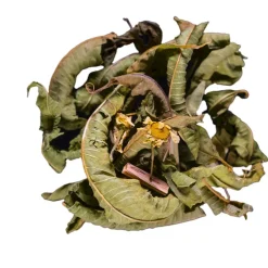 Fabrique de Styles Cafés, Thés Et Infusions*Infusion menthe fraiche menthe verveine bio - 30g