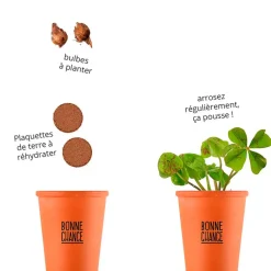 Fabrique de Styles Prêt À Pousser*Kit message bonne chance - trèfle à 4 feuilles