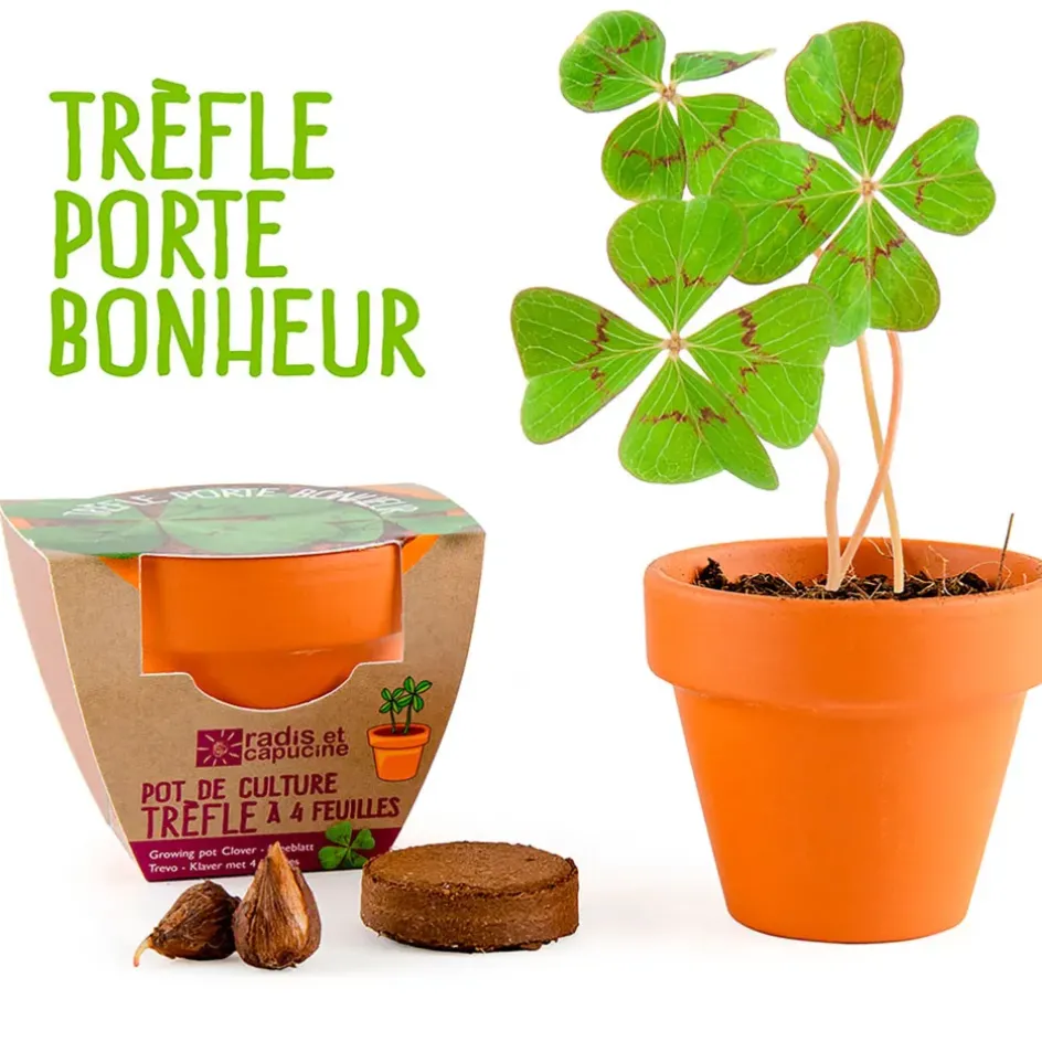 Fabrique de Styles Prêt À Pousser*Mini kit d6cm terre cuite trèfle 4 feuilles