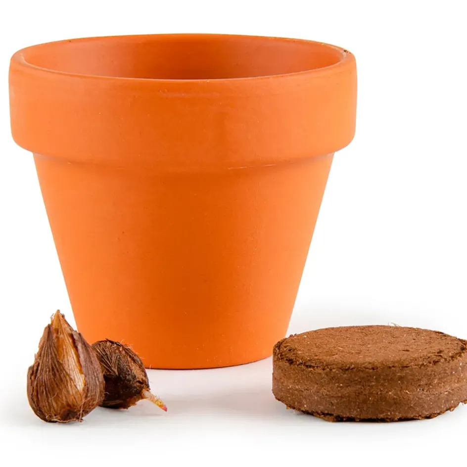 Fabrique de Styles Prêt À Pousser*Mini kit d6cm terre cuite trèfle 4 feuilles