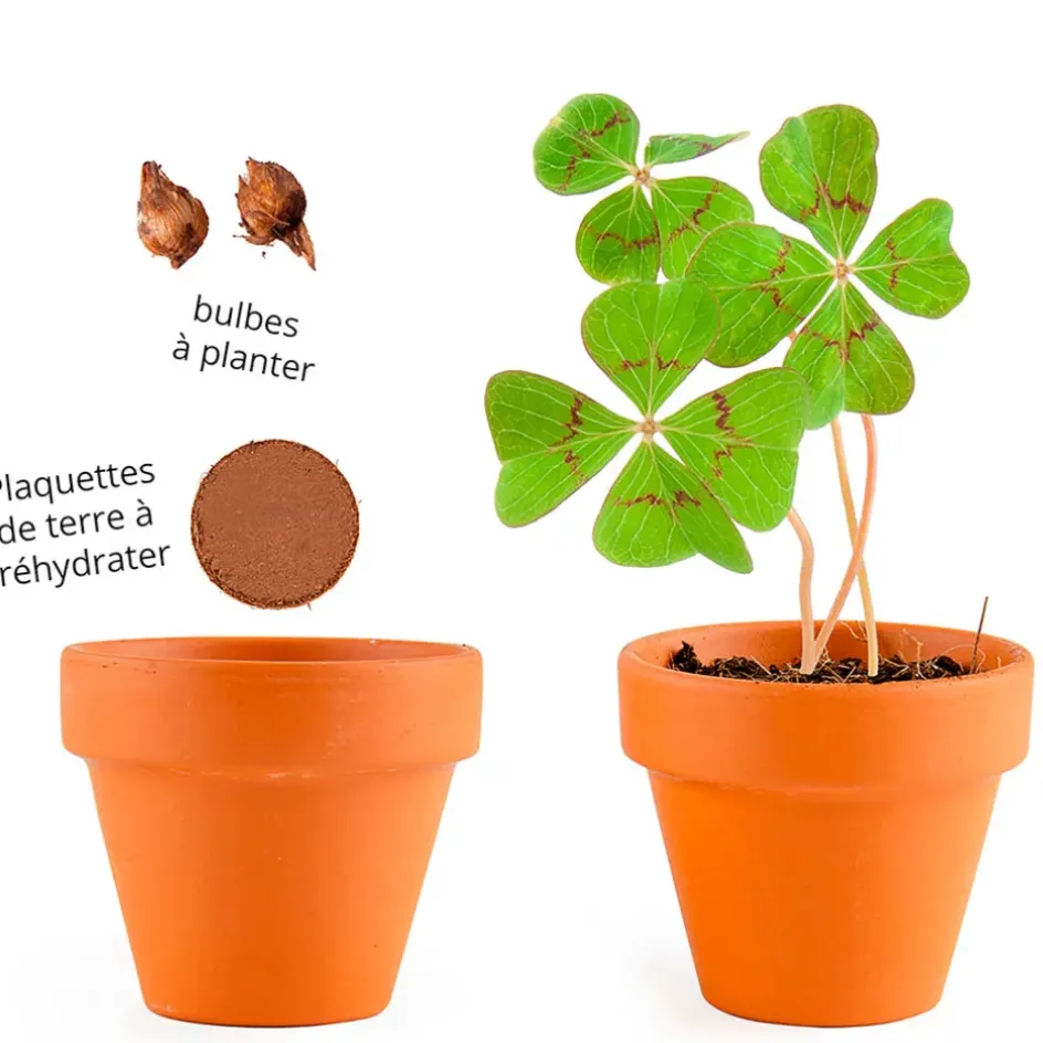 Fabrique de Styles Prêt À Pousser*Mini kit d6cm terre cuite trèfle 4 feuilles