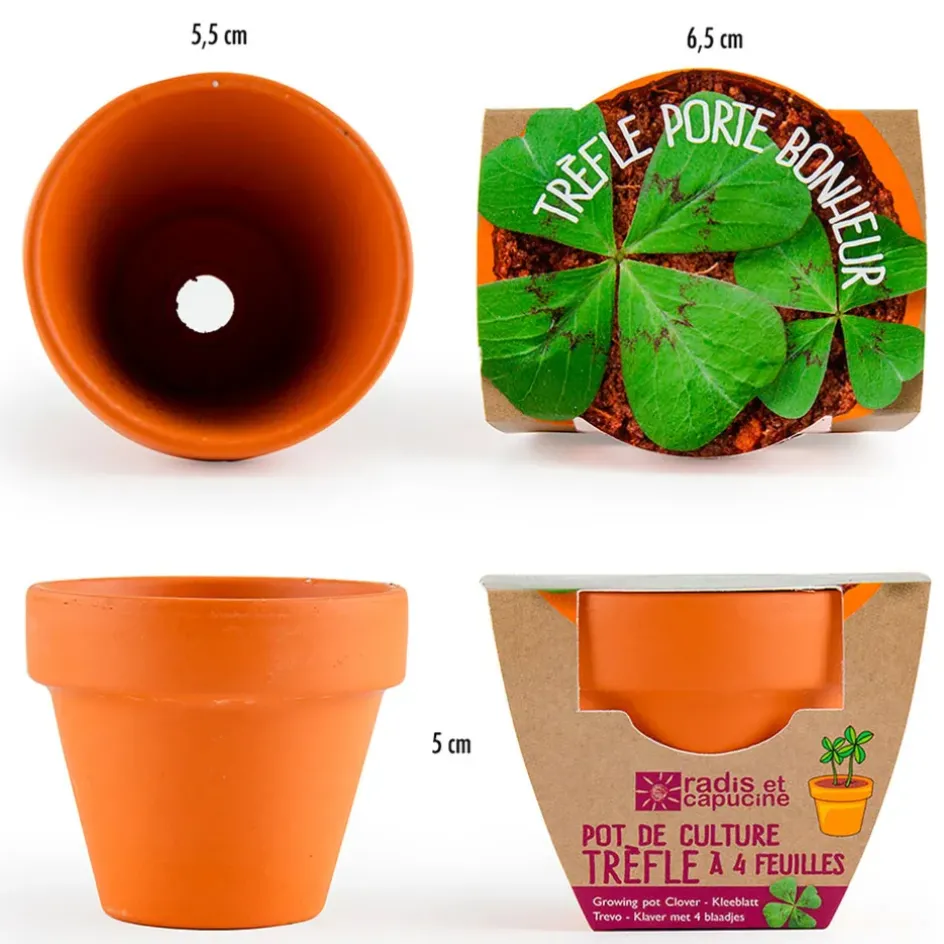 Fabrique de Styles Prêt À Pousser*Mini kit d6cm terre cuite trèfle 4 feuilles