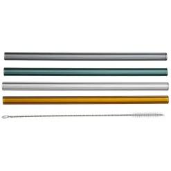 Fabrique de Styles Accessoires Réutilisables*Paille avec brosse x4 dilacia h15.5cm en verre borosilicate