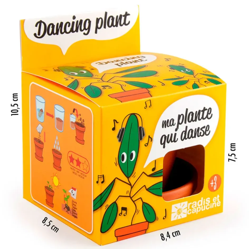 Fabrique de Styles Prêt À Pousser*Pot d8cm avec coupelle plante qui danse