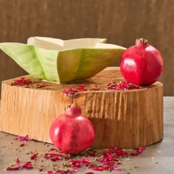 Fabrique de Styles Plats Et Saladiers*Saladier étoile de mer en dolomite vert et jaune d28cm