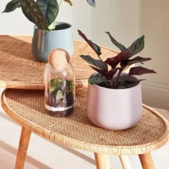 Fabrique de Styles Table Basses*Table basse gigogne (lot de 2) en rotin - Tamba