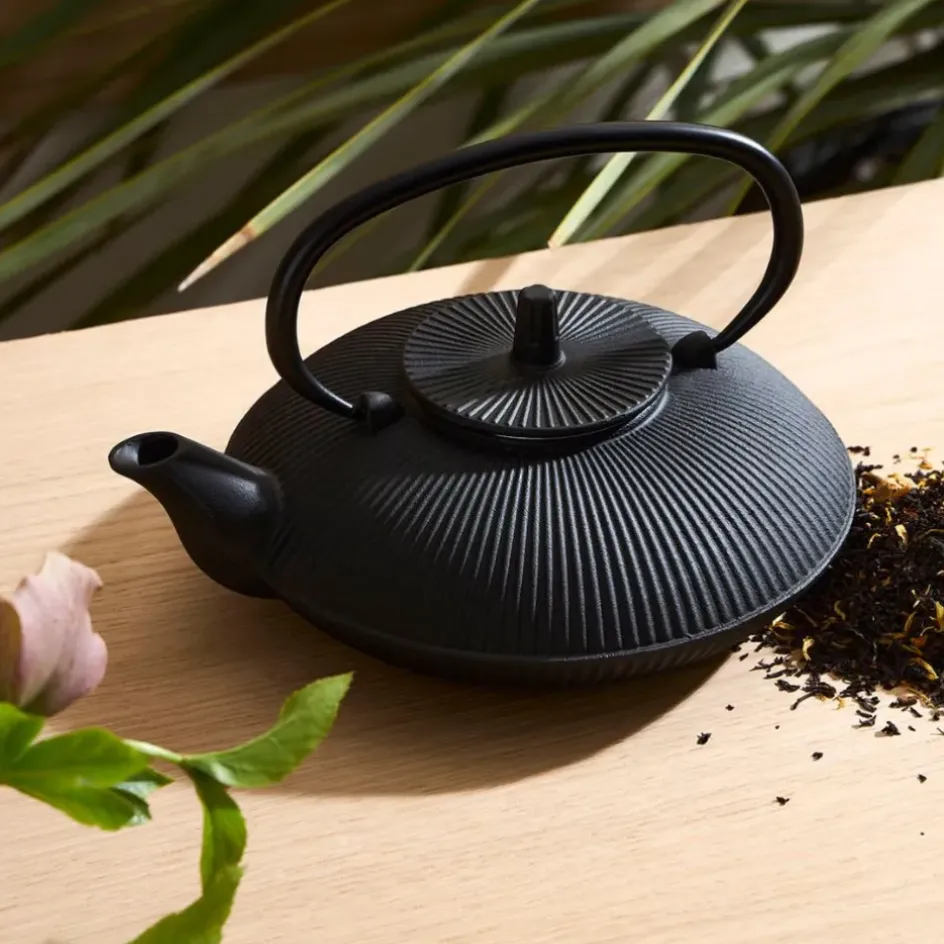 Fabrique de Styles Théières Et Cafetières*Théière en fonte avec filtre inox 75cl - Brin