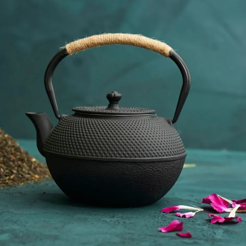 Fabrique de Styles Théières Et Cafetières*Théière en fonte avec filtre 1.2l - Picots