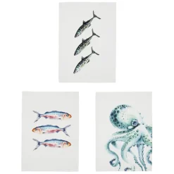 Fabrique de Styles Torchons, Tabliers Et Maniques*Torchon en coton (x3) faune marine blanc et 50x70cm