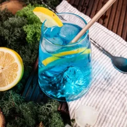 Fabrique de Styles Verres À Eau Et Gobelets*Verre design Pic Du Midi - Topographic